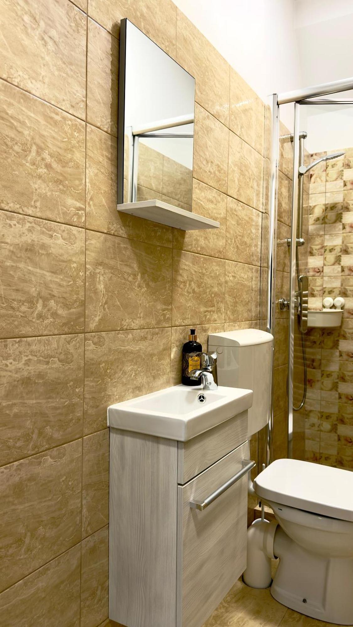 Phoenix Central Apartments Sibiu Exterior foto